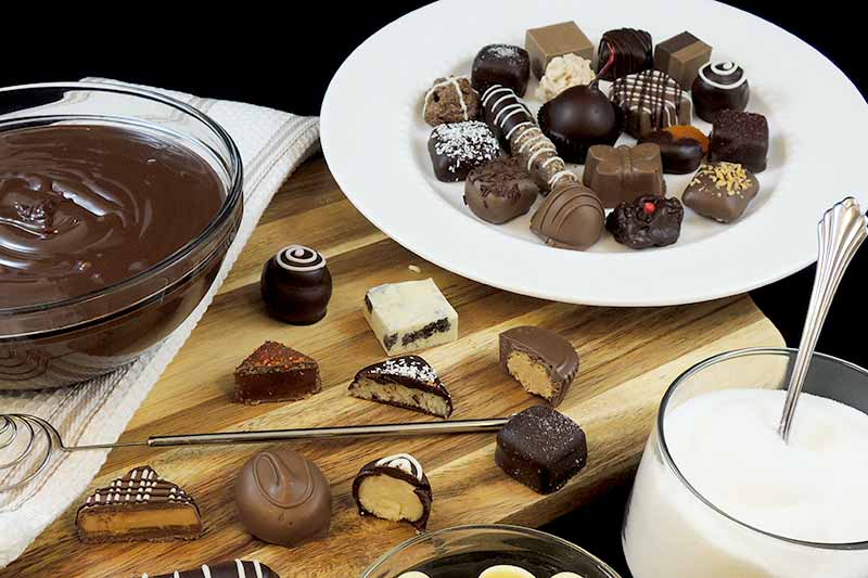 Chocolate Making Ingredients