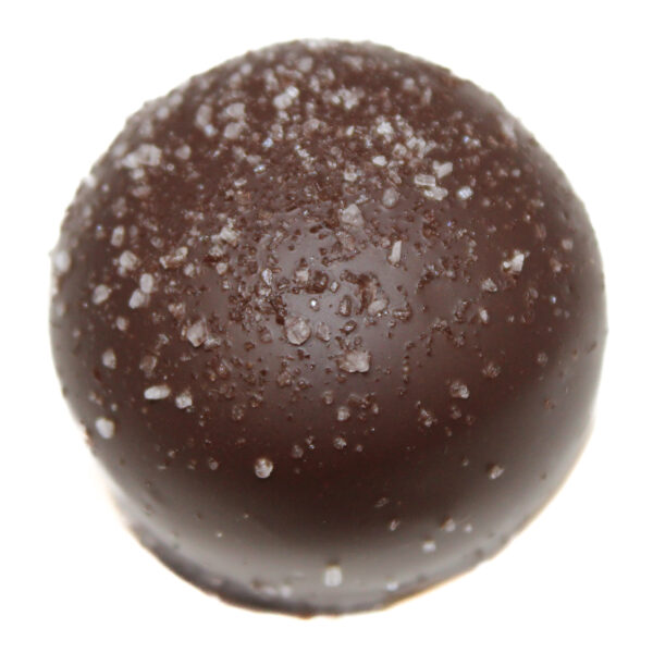 Dark Chocolate Sea Salt Caramel Truffle