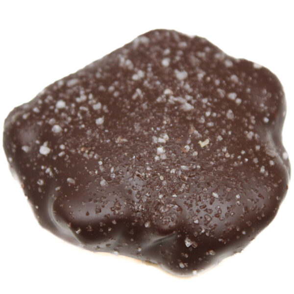 Dark Chocolate Sea Salt Cashew Caramel & Nut Patty
