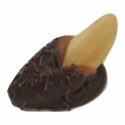 Brazil Bud in Dark Chocolate