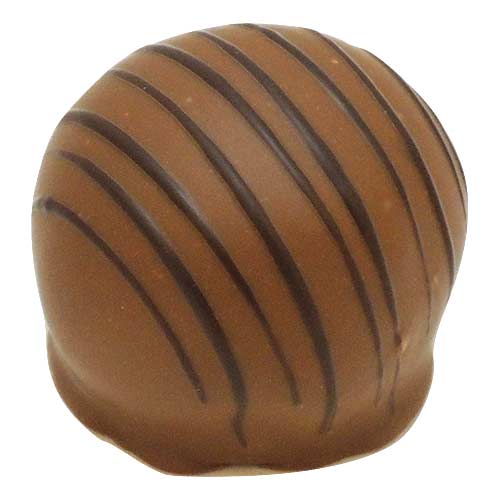Hazelnut Milk Chocolate Truffle